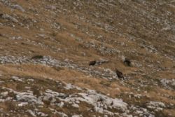 2011-04-24_Regina-F-Rau_Brunnstein-Spitze (216).JPG